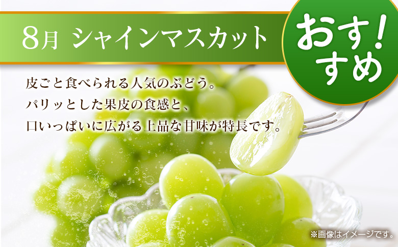 【偶数月 6回定期便】旬 人気 フルーツ 南国宮崎産 マンゴー 金柑たまたま シャインマスカット みかん 梨 日向夏 柑橘 きんかん ぶどう 果物 詰め合わせ 宮崎県 九州＜C-2コース M320＞