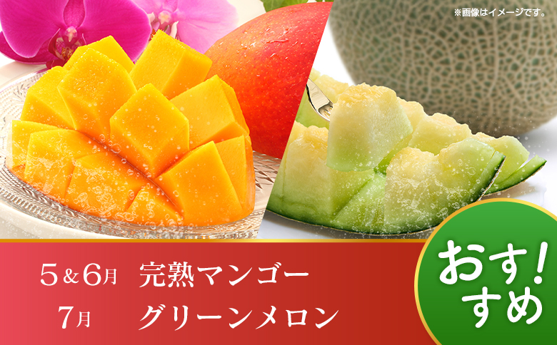 【10回定期便】旬 人気 フルーツ 南国宮崎産 マンゴー 金柑たまたま シャインマスカット ピオーネ いちご みかん 梨 メロン 柑橘 きんかん ぶどう 果物 詰め合わせ 宮崎県 九州＜E-2コース M600＞