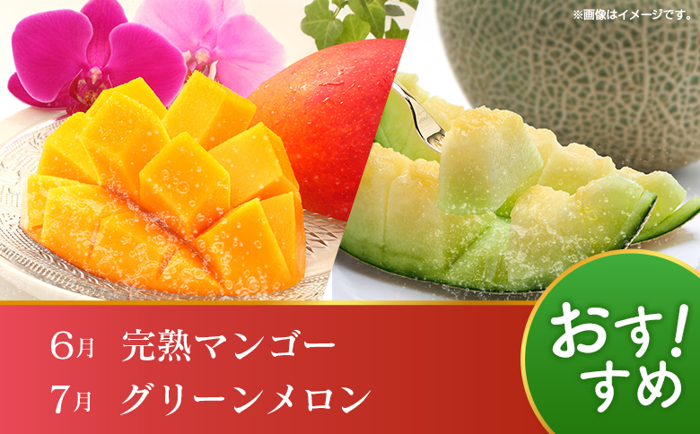 【10回定期便】旬 人気 フルーツ 南国宮崎産 マンゴー 金柑たまたま シャインマスカット ピオーネ いちご みかん 日向夏 メロン 柑橘 きんかん ぶどう 果物 詰め合わせ 宮崎県 九州＜E-3コース M700＞