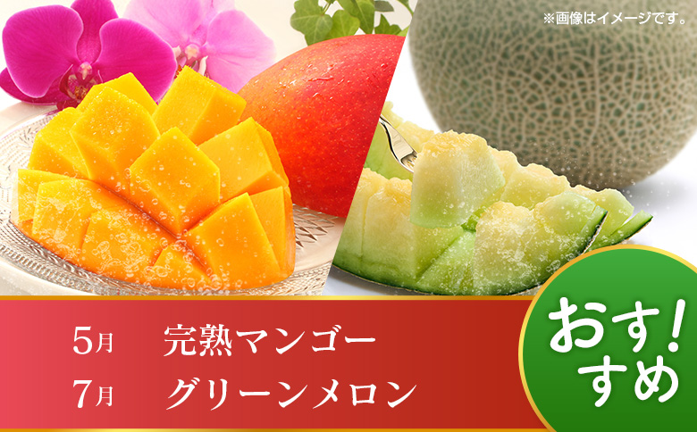 【12回定期便】旬 人気 フルーツ 南国宮崎産 マンゴー ライチ 金柑たまたま シャインマスカット ピオーネ いちご みかん 日向夏 メロン 梨 柑橘 きんかん ぶどう 果物 詰め合わせ 宮崎県 九州 1年 毎月お届け＜Bコース M200＞