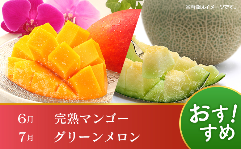 【12回定期便】旬 人気 フルーツ 南国宮崎産 マンゴー 金柑たまたま シャインマスカット ピオーネ いちご みかん 日向夏 メロン 梨 柑橘 きんかん ぶどう 果物 詰め合わせ 宮崎県 九州 1年 毎月お届け＜Cコース M300＞