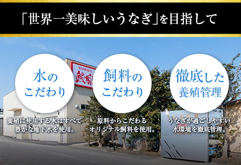 宮崎県産 うなぎ 蒲焼 切身 10パック 計500g 個包装 国産 鰻 10枚 切身10パック（計500g）