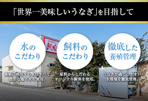 宮崎県産 うなぎ 蒲焼 3尾 計480g 個包装 長焼 国産 鰻