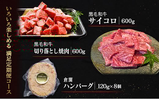 【定期便】宮崎県 倉薗牧場 ヒレステーキなど色々楽しめる満足定期便コース 計6回