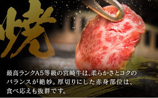 宮崎県産 倉薗牧場 A5等級 宮崎牛 赤身づくし 厚切り 焼肉用 2パック