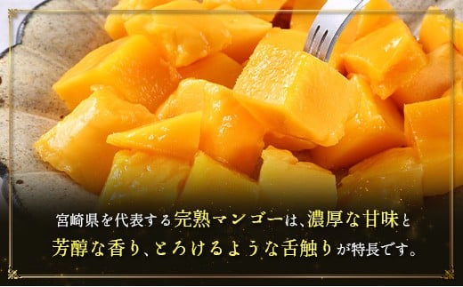 ＜2026年発送＞ フルーツ 定期便 完熟マンゴー ピオーネ ぶどう 先行予約 初夏 秋 旬 果物 全2回