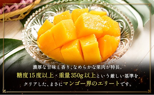 ＜2026年発送＞ フルーツ 定期便 太陽のタマゴ シャインマスカット 完熟 マンゴー ぶどう 先行予約 初夏 秋 旬 果物 全2回