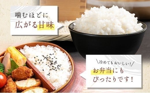 宮崎県の大自然が育んだお米【マグマシラス米】5kg 精米 宮崎県産 九州 国産