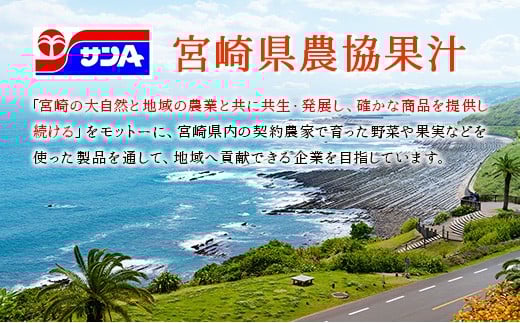 【定期便 6か月】 霧島山麓の天然水 590ml×24本入 6回 サンＡ ミネラルウォーター 飲料水 常温保存 宮崎 6か月定期便