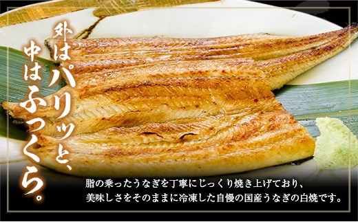 ＜3回定期便＞国産 うなぎ 白焼 有頭 1尾（181～215g）×3か月 計543g以上 たれ付き 宮崎県産 鰻 中村商店