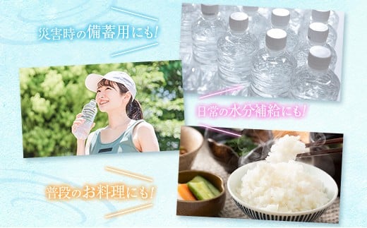 【定期便】 シリカ 朝の天然水 555ml 24本 5回 ラベルレス 中硬水 ミネラルウォーター シリカ水 ケイ素 常温保存 備蓄 防災 宮崎県 霧島連山 555ml×24本（1箱）×5回定期便