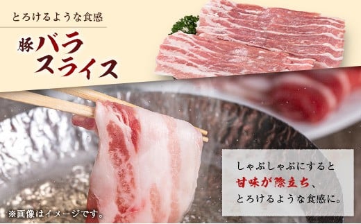 産地直送 宮崎県産 ホエー豚 バラエティ 食べ比べ セット 合計3kg（250g×12パック）国産 豚肉 スライス 焼肉 訳あり 合計3kg（250g×12パック）
