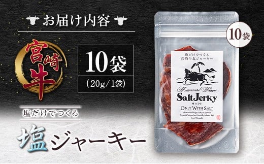 塩だけでつくる 宮崎牛 塩ジャーキー 10袋（20g×10袋）ブランド牛 ビーフジャーキー おつまみ 珍味 グルメ 干し肉 宮崎県産