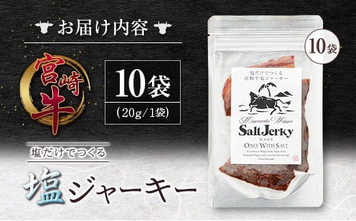 塩だけでつくる 宮崎牛 塩ジャーキー 10袋（20g×10袋）ブランド牛 ビーフジャーキー おつまみ 珍味 グルメ 干し肉 宮崎県産