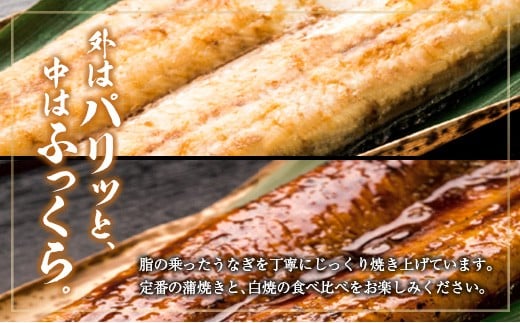 ＜定期便＞2尾×全6回 国産 うなぎ 白焼 蒲焼 セット 合計2.1kg以上（1回あたり 合計362g以上） 肝焼き・たれ付き 有頭 宮崎県産 鰻 中村商店