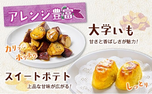 ＜定期便＞3回お届け！長期熟成 紅はるか 計15kg（5kg×3回）宮崎県都城市産 さつまいも サツマイモ 計15kg＜毎月3kg×5回定期便＞