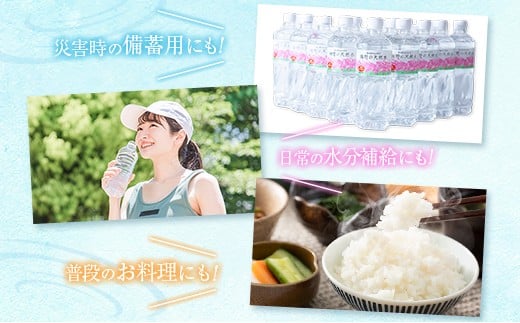 【定期便】 天然シリカ水 細野の天然水 555ml 24本 10回 中硬水 ミネラルウォーター シリカ ケイ素 霧島連山の贈り物 常温保存 備蓄 防災 宮崎県 555ml×24本（1箱）×10回定期便