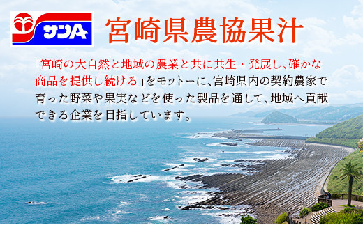 霧島山麓の天然水 590ml×24本 ペットボトル サンＡ 宮崎県産 単品（590ml×24本）