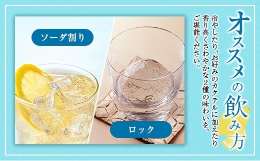 宮崎産「れもん」でつくった リキュール 2種 飲み比べ 500ml×2本 セット マイヤーレモンリキュール＆さわやかレモンリキュール