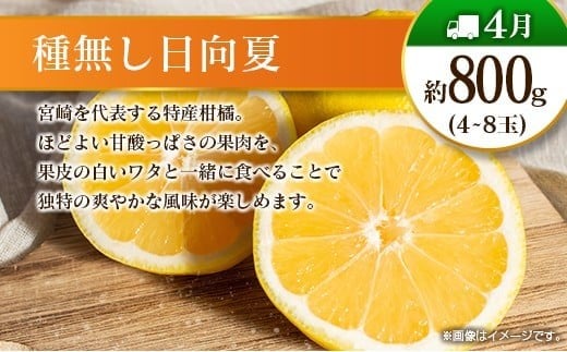 【偶数月 6回定期便】旬 人気 フルーツ 南国宮崎産 マンゴー シャインマスカット いちご 日向夏 梨 みかん 柑橘 ぶどう 果物 詰め合わせ 宮崎県 九州＜B-2コース M220＞