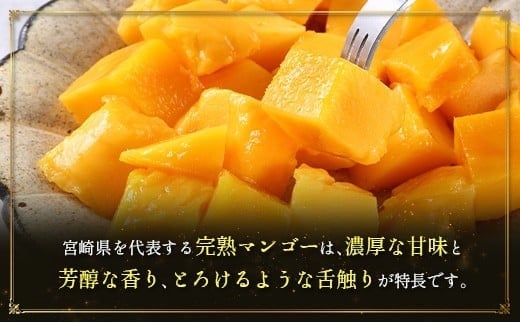 ＜2026年発送＞ フルーツ 定期便 完熟マンゴー シャインマスカット ぶどう 先行予約 初夏 秋 旬 果物 全2回