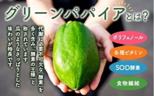 クラフト酵素シロップ グリーンパパイア 250ml×3個 宮崎県産