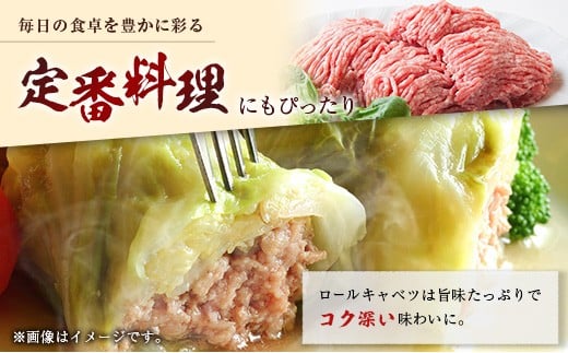産地直送 宮崎県産 ホエー豚 粗びき ひき肉 セット 計1.5kg（250g×6パック） 国産 豚肉 粗挽き ミンチ 挽き肉 小分け 計1.5kg（250g×6パック）
