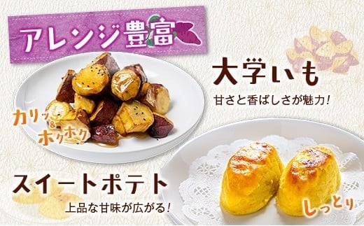 長期熟成 紅はるか 計5kg 宮崎県都城市産 さつまいも サツマイモ 計5kg