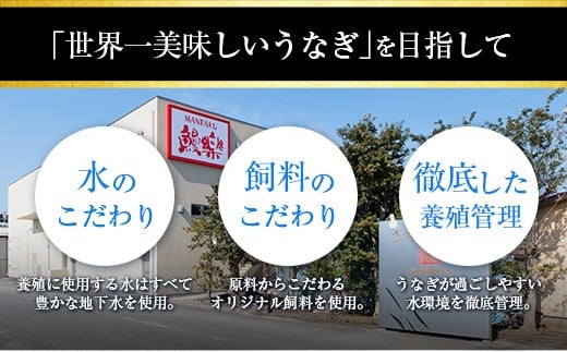宮崎県産 うなぎ 蒲焼 3尾 計480g 個包装 長焼 国産 鰻