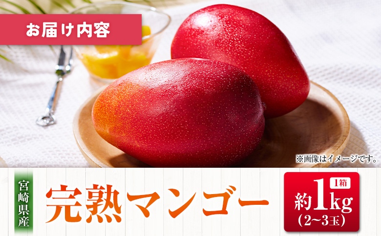 ◆宮崎県産 完熟マンゴー（合計約1kg）
