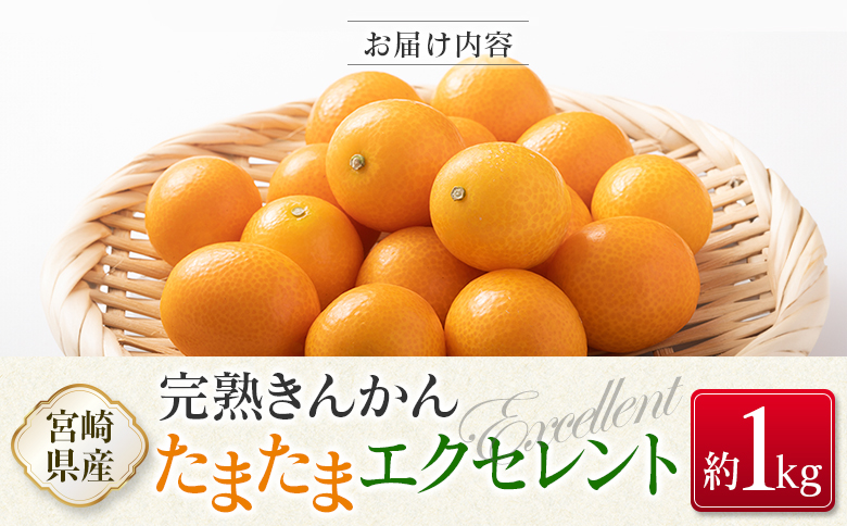 ◇宮崎県産 完熟きんかん「たまたまエクセレント」 糖度18度以上 約1kg