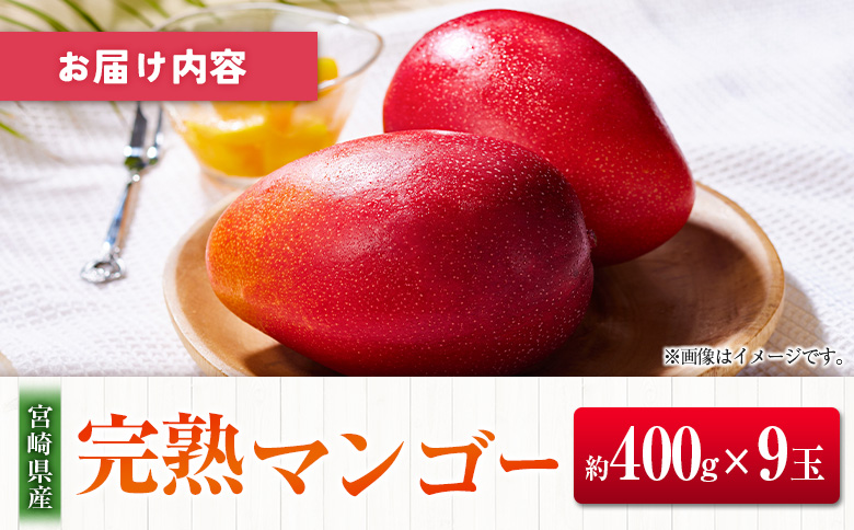 ◆宮崎県産 完熟マンゴー（9玉）