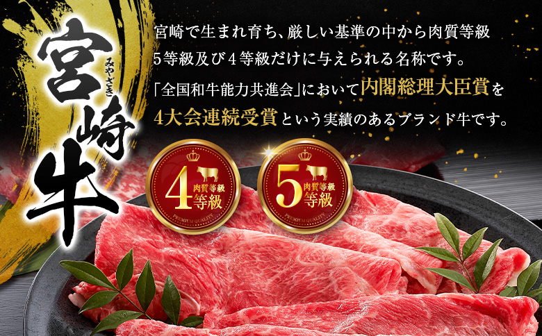 宮崎牛 ビーフジャーキー 10袋 (30g×10袋) おつまみ 宮崎県産