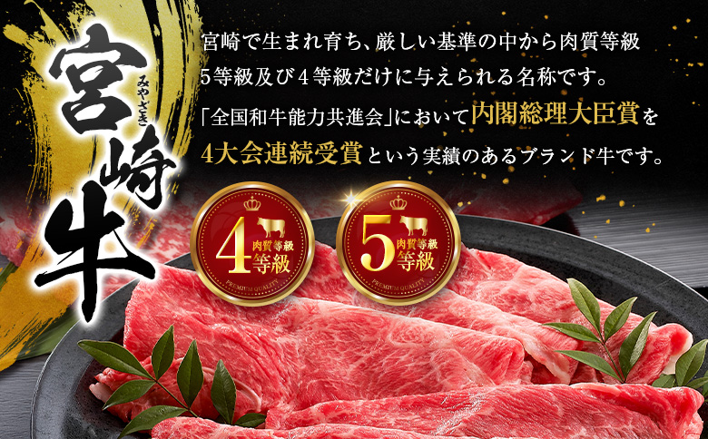 宮崎牛 ビーフジャーキー 20袋 (30g×20袋) おつまみ 宮崎県産