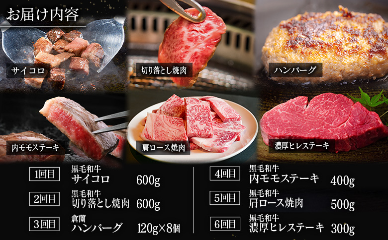 【定期便】宮崎県 倉薗牧場 ヒレステーキなど色々楽しめる満足定期便コース 計6回