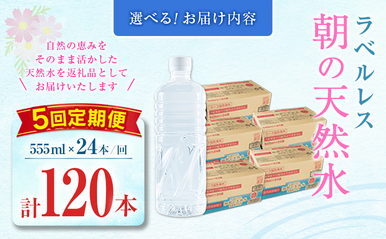 【定期便】 シリカ 朝の天然水 555ml 24本 5回 ラベルレス 中硬水 ミネラルウォーター シリカ水 ケイ素 常温保存 備蓄 防災 宮崎県 霧島連山 【定期便】555ml×24本（1箱）×5回