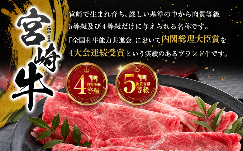 宮崎牛100% こだわり ハンバーグ 120g×10個 国産 黒毛和牛 惣菜
