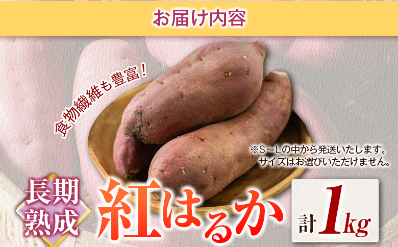 長期熟成 紅はるか 計1kg 宮崎県都城市産 さつまいも サツマイモ 計1kg