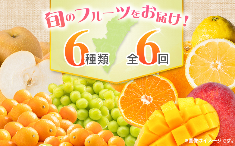 【偶数月 6回定期便】旬 人気 フルーツ 南国宮崎産 太陽のタマゴ きんかん シャインマスカット 日向夏 梨 みかん 柑橘 マンゴー ぶどう 果物 詰め合わせ＜A-2コース M120＞