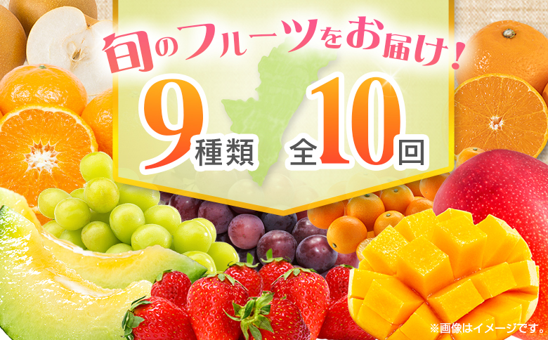 【10回定期便】旬 人気 フルーツ 南国宮崎産 マンゴー 金柑たまたま シャインマスカット ピオーネ いちご みかん 梨 メロン 柑橘 きんかん ぶどう 果物 詰め合わせ 宮崎県 九州＜E-2コース M600＞
