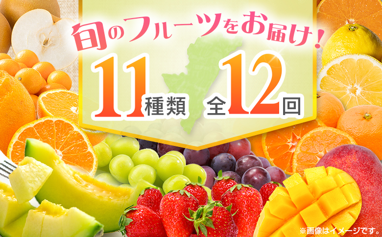 【12回定期便】旬 人気 フルーツ 南国宮崎産 太陽のタマゴ たまたまエクセレント シャインマスカット ピオーネ いちご みかん 日向夏 メロン 梨 柑橘 完熟 マンゴー きんかん たまたま ぶどう 果物 詰め合わせ 宮崎県 九州 1年 毎月お届け＜Aコース M100＞