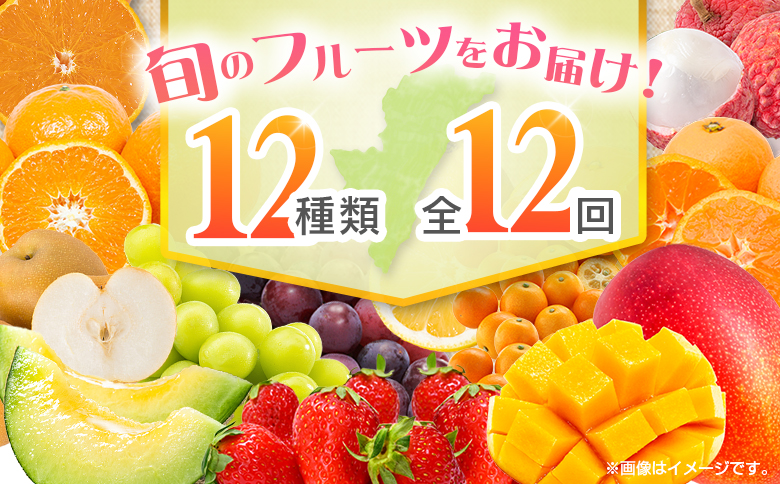 【12回定期便】旬 人気 フルーツ 南国宮崎産 マンゴー ライチ 金柑たまたま シャインマスカット ピオーネ いちご みかん 日向夏 メロン 梨 柑橘 きんかん ぶどう 果物 詰め合わせ 宮崎県 九州 1年 毎月お届け＜Bコース M200＞