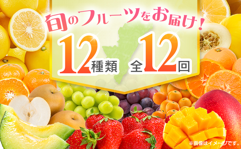 【12回定期便】旬 人気 フルーツ 南国宮崎産 マンゴー 金柑たまたま シャインマスカット ピオーネ いちご みかん 日向夏 メロン 梨 柑橘 きんかん ぶどう 果物 詰め合わせ 宮崎県 九州 1年 毎月お届け＜Cコース M300＞