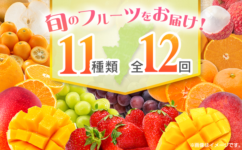 【12回定期便】旬 人気 フルーツ 南国宮崎産 マンゴー ライチ 金柑たまたまエクセレント シャインマスカット ピオーネ いちご みかん 梨 柑橘 太陽のタマゴ きんかん たまたま ぶどう 果物 詰め合わせ 宮崎県 九州 1年 毎月お届け＜Dコース M400＞