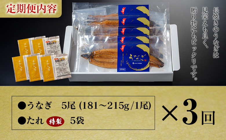＜定期便＞5尾×全3回 国産 うなぎ 蒲焼 有頭 計2.7kg以上（1回あたり 計905g以上） たれ付き 宮崎県産 鰻 中村商店