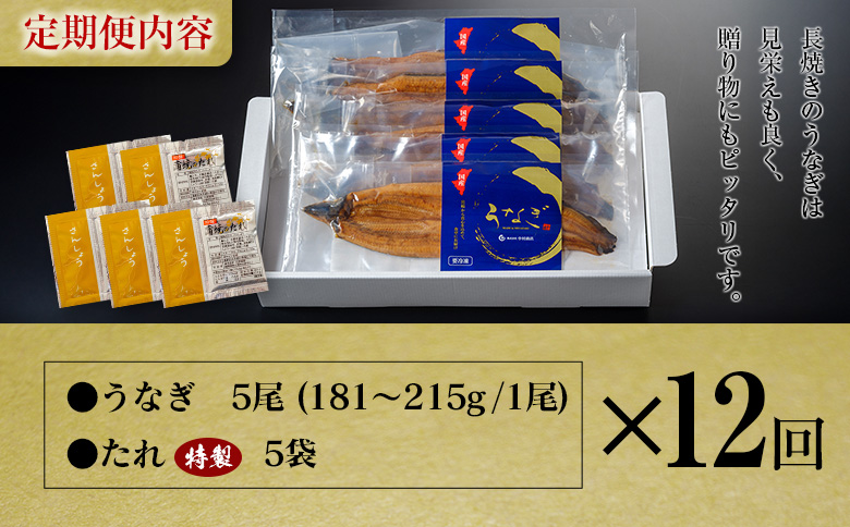 ＜定期便＞5尾×全12回 国産 うなぎ 蒲焼 有頭 計10.8kg以上（1回あたり 計905g以上） たれ付き 宮崎県産 鰻 中村商店
