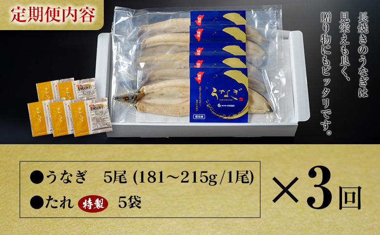 ＜定期便＞5尾×全3回 国産 うなぎ 白焼 有頭 計2.7kg以上（1回あたり 計905g以上） たれ付き 宮崎県産 鰻 中村商店