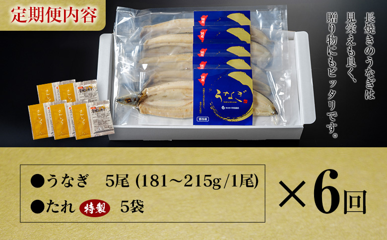 ＜定期便＞5尾×全6回 国産 うなぎ 白焼 有頭 計5.4kg以上（1回あたり 計905g以上） たれ付き 宮崎県産 鰻 中村商店