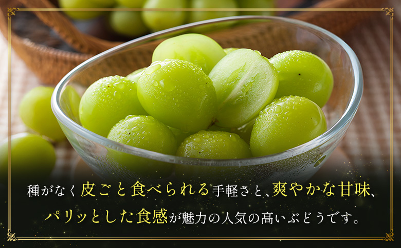 ＜2026年発送＞ フルーツ 定期便 完熟マンゴー シャインマスカット ぶどう 先行予約 初夏 秋 旬 果物 全2回