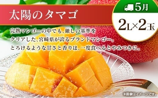 【奇数月 6回定期便】旬 人気 フルーツ 南国宮崎産 太陽のタマゴ ピオーネ いちご みかん メロン マンゴー 柑橘 ぶどう 果物 詰め合わせ 宮崎県 九州＜A-1コース M110＞